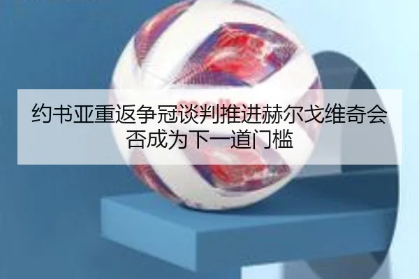约书亚重返争冠谈判推进赫尔戈维奇会否成为下一道门槛